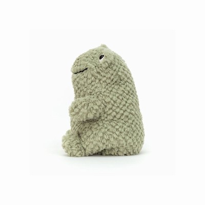 Jellycat Flumpie Frog USA | 57920JWVP